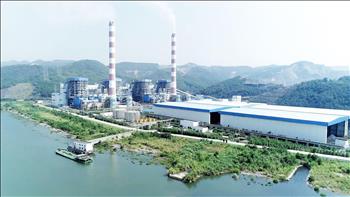 CTCPNĐ Quảng Ninh hoàn thành vượt mức sản lượng kế hoạch Quý 1 năm 2020