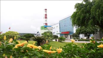 Nghi Son Thermal Power Company: Actively making a green and clean environment